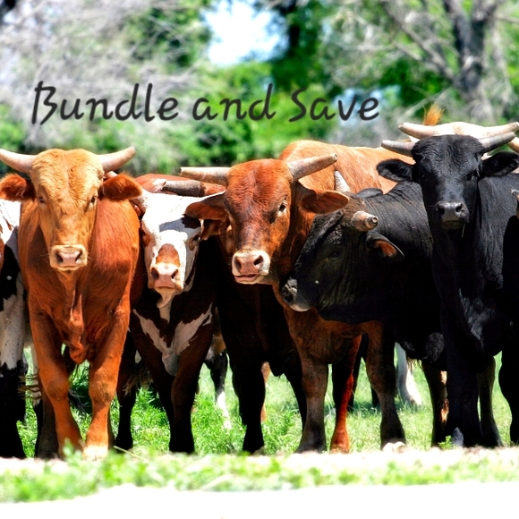 NEW BOGO DEALS ADDED - Picture 1 of 3